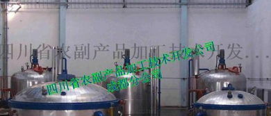 紅薯脯生產(chǎn)線與加工設(shè)備 四川農(nóng)副產(chǎn)業(yè)的技術(shù)革新